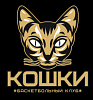 Детская баскетбольная команда девушек 2012 г.р. «Кошки» г. Челябинск ищет спонсоров для участия в престижном международном турнире!